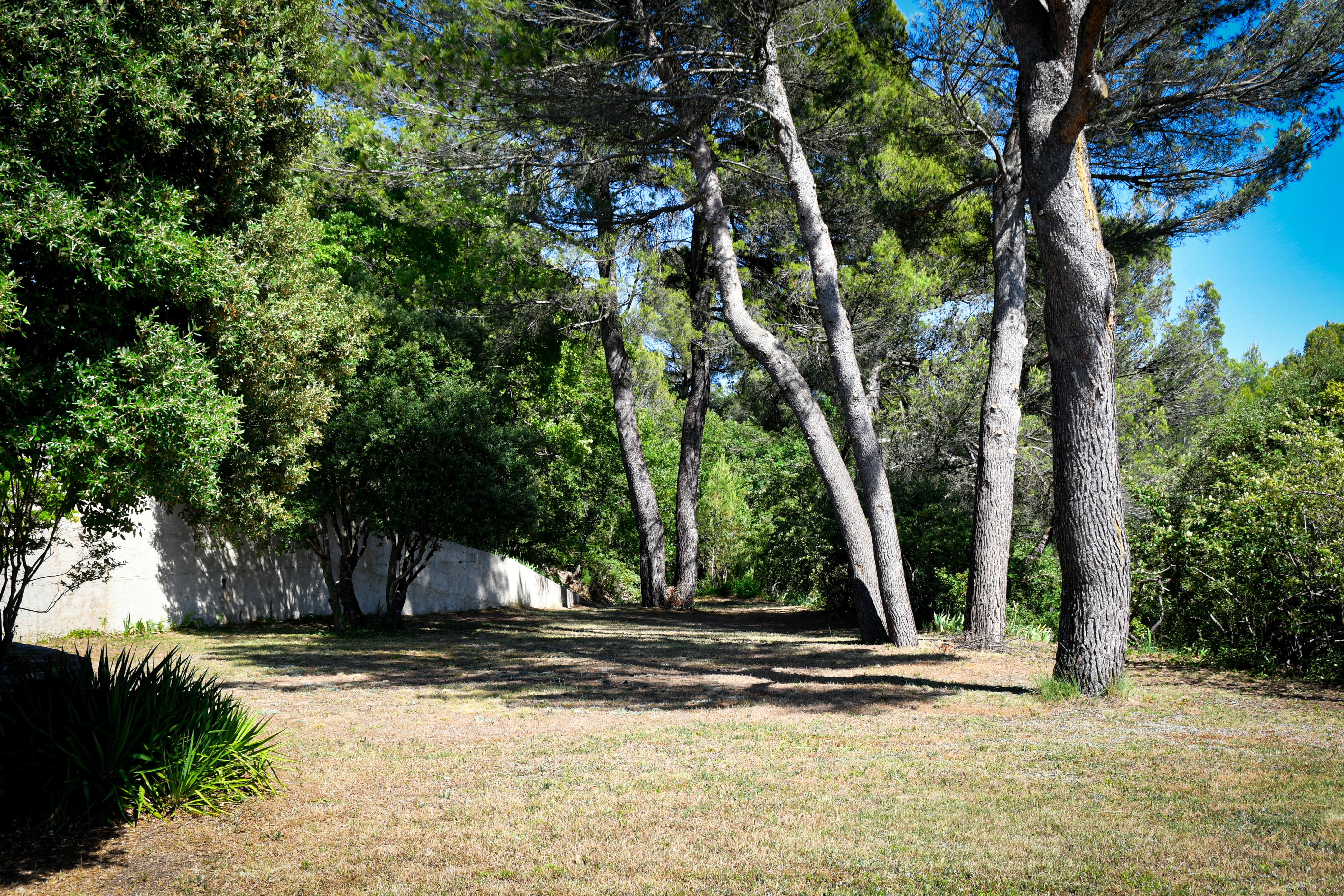 Le Domaine du Coulet de Plumes